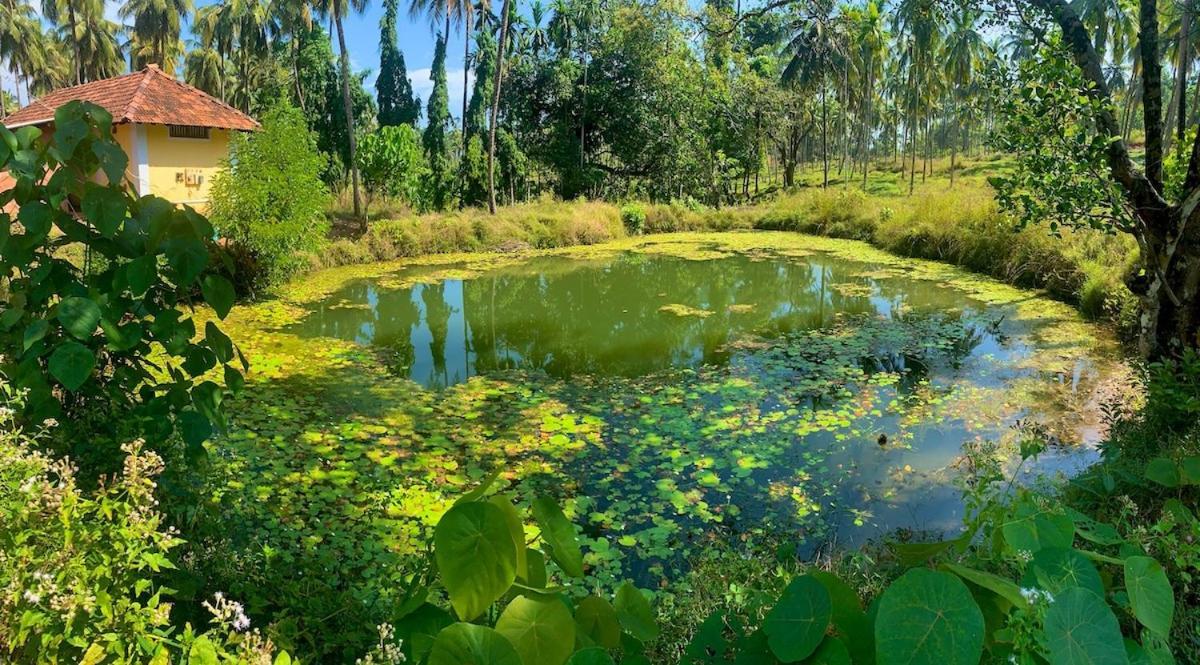 Beautiful Farm House & Villa - Monappa Estate - Top Rated Udupi Exterior foto